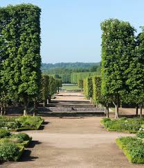 Chateau De Versailles On Twitter Versailles Grand Canal Chateau De Versailles