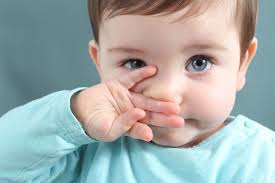 Image result for bayi selsema