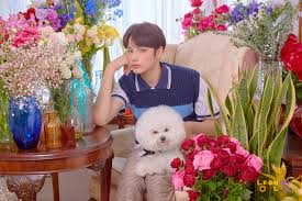 Reveal photo (1) reveal photo (2) the dream chapter. Txt Hueningkai Taehyun Cat Dog Concept Photos K Pop Database Dbkpop Com