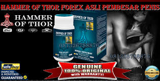 Tentunya hammer of thor original memang. Hammer Of Thor Forex Will Help You To Improve Your Libido And Endurance Erection Supplements Book