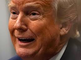 Image result for Donald Trump