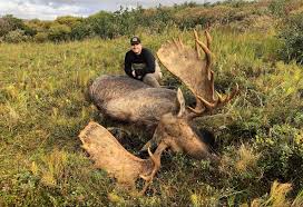 When is moose season in alaska. Autumn Hunt For Moose In Alaska Hunting In Alaska