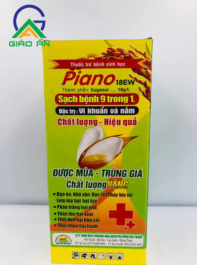 Piano 18EW