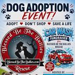 Sturdy Hardware Dog Adoption Event & Fundraiser