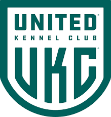 A ceiling light is not the only option for proper general lighting. Coonhound Events Calendar United Kennel Club Ukc
