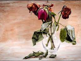 Ada lebih dari 100 spesies.meski dapat berbunga di musing panas hingga musim gugur, dahlia termasuk bunga yang telat. Tips Merawat Bunga Agar Tidak Layu