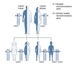 genetic inheritance canadian hemochromatosis society