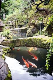 File:japanese friendship garden path koi pond 4.jpg. Moss Covered Stone Bridge In Japanese Garden Over Koi Carp Pond Japanese Garden Japanese Garden Design Japan Garden