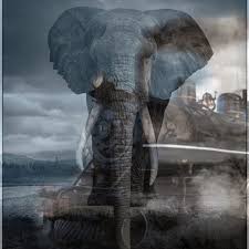 Jul 01, 2021 · teluk intan: Rempuhan Kereta Api Teluk Intan Dendam Sang Gajah Angkara Anaknya Mati Dilanggar Utusantv