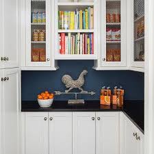 Country kitchen chicken wire storage cabinet. Chicken Wire Kitchen Cabinets Design Ideas