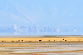 Kevin Jones and David Madsen: Jesus warned us about building houses upon  sand