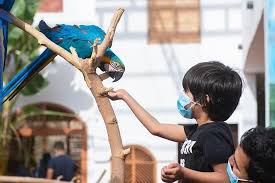 Jurong bird park travelers' reviews, business asia's largest bird parks. Discover Saudi Arabia S Incredible Al Hada Bird Park About Her