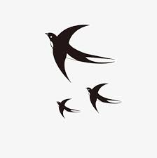 pin by hien on drawing painting illustration sparrow tattoo drawings