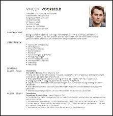 Voorbeeld Curriculum Vitae Teamleider Livecareer