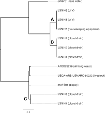 They have been raised on premium seed and biscuit mix. Genomic Analysis Of Hospital Plumbing Reveals Diverse Reservoir Of Bacterial Plasmids Conferring Carbapenem Resistance Mbio