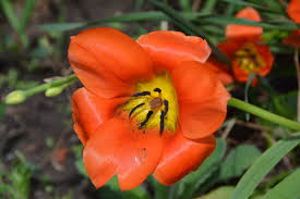 Good morning, Pelham! Here's today's weather!