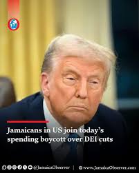 Donovan Bell (@bellpowerhouse) • Instagram photos and videos