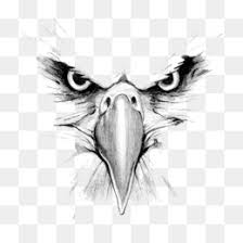 Eagle Png Bald Eagle Eagle Logo Eagle Head Eagle Cartoon Eagle Silhouette Flying Eagle Cartoon Eagle Eagle Drawing Eagle Flying Eagles Logo Eagle Mascot Eagle Design Eagle Line Art Soaring Eagle Including transparent png clip art, cartoon, icon, logo, silhouette, watercolors, outlines, etc. eagle png bald eagle eagle logo