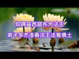 成就解脫之路 仰諤益西諾布大法王弟子多杰洛桑法王法駕佛土 herbs blog