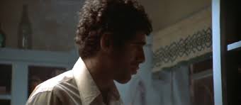 Make Mine Film Noir: The Long Goodbye (1973)