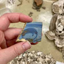 This ceramic sherd may not look like much, but it helps us track the growth of St. Augustine in the late 16th through early 18th centuries. Between the years of 1589 and