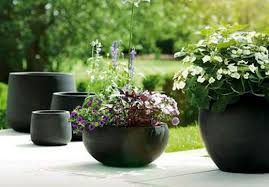 Pots Planters Containers Kings Plant Barn Garden Centre Whether you are looking for something to improve the look of your garden or if you are just seeking to add some accents to your home, you can be sure that we've got what you want!