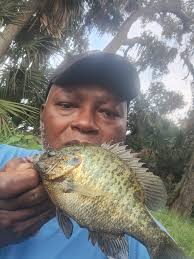 Small creeks and ponds with bream and shell crackers near Raleigh NC