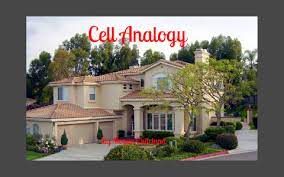 Cell analogy animal cells compared to spongebob youtube. Biology Cell Analogy House By Megan Charland