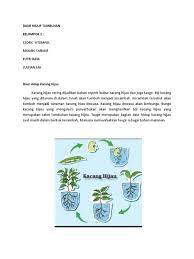 Ada dua jenis tanaman kacang hijau dalam ilmu pertanian, yaitu tanaman kacang hijau yang bercabang dan tanaman kacang hijau yang tidak bercabang. Daur Hidup Tumb Wps Office