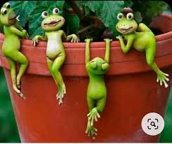 Pin By Maui Dee On Modelado In 2020 Frog Art Cute Frogs Pottery Animals