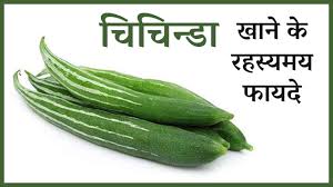 This juice has been used as an emetic to induce vomiting. Snake Gourd Exporters In India
