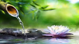 8 Hours Of Relaxing Sleep Music Sleeping Music Relaxing Music Fall Asleep Fast 47 Youtube 8 hours of relaxing sleep music sleeping music relaxing music fall asleep fast 47