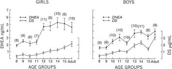 Physiology Of Puberty Glowm