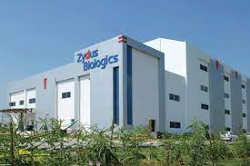 Zydus's covid drug virafin gets nod for treating mild coronavirus. Zydus Gets Dcgi Nod For Emergency Use Of Antiviral Drug Virafin To Treat Moderate Covid Cases