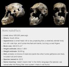 Cara membuat kue semprit tiga bahan / cara membuat. Homo Naledi