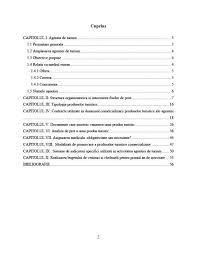 Turism agentii de turism / operatori. Atestat Infiintarea Unei Agentii De Turism Sc Sicora Travel Srl Atestat Turism