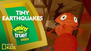 Earthquakes Theschoolrun