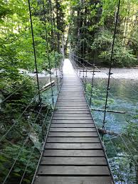 Silver falls loop and grove of the patriarchs. Grove Of The Patriarchs Loop Blog Anna Osgoodby Life Biz Seattle Lifestyle Blogger Goals Coach