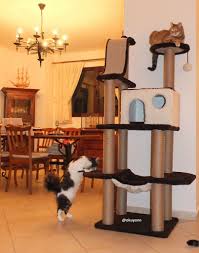 Moonlightcat13 Mirkhanemizin Yeni Tirmalama Tahtasi Kedi