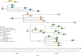 20 surprising things that cause covid if your fairy godmother could grant you one wish right now, i know what it would be. Connecting Clusters Of Covid 19 An Epidemiological And Serological Investigation The Lancet Infectious Diseases