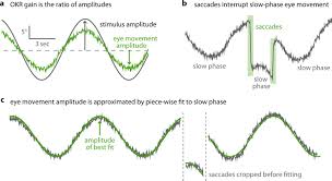 We did not find results for: Spherical Arena Reveals Optokinetic Response Tuning To Stimulus Location Size And Frequency Across Entire Visual Field Of Larval Zebrafish Elife