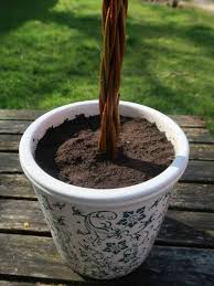 Willow trees are strong and resilient and the willow wand is made from 9 whips of it's branches. Introducing The Willow Wand Living Art For Your Garden Craft Invaders