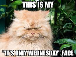 Inspirational Wednesday Quotes With Funny Wednesday Memes I Love Text Messages