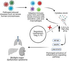 +> con un sacco di ♥ da calculateplus. Frontiers Profile Of Circulatory Cytokines And Chemokines In Human Coronaviruses A Systematic Review And Meta Analysis Immunology