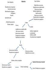 unk tables docx colony morphology disease form escherichia