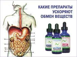 Preparaty Dlya Uskoreniya Obmena Veshestv Alfa Vita