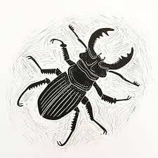 Black And White Striped Beetle This Item Is Unavailable Etsy Lino Art Linocut Lino Print