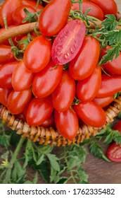 Image result for tomato Piccadilly