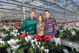 139 florists in concord, nh. Perfect Plants For Christmas New Hampshire Home Magazine