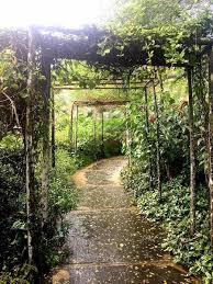 Agrochic Gardening Inspiration Advice Jardin Botanico En Santo Domingo Country Roads Outdoor Farmland